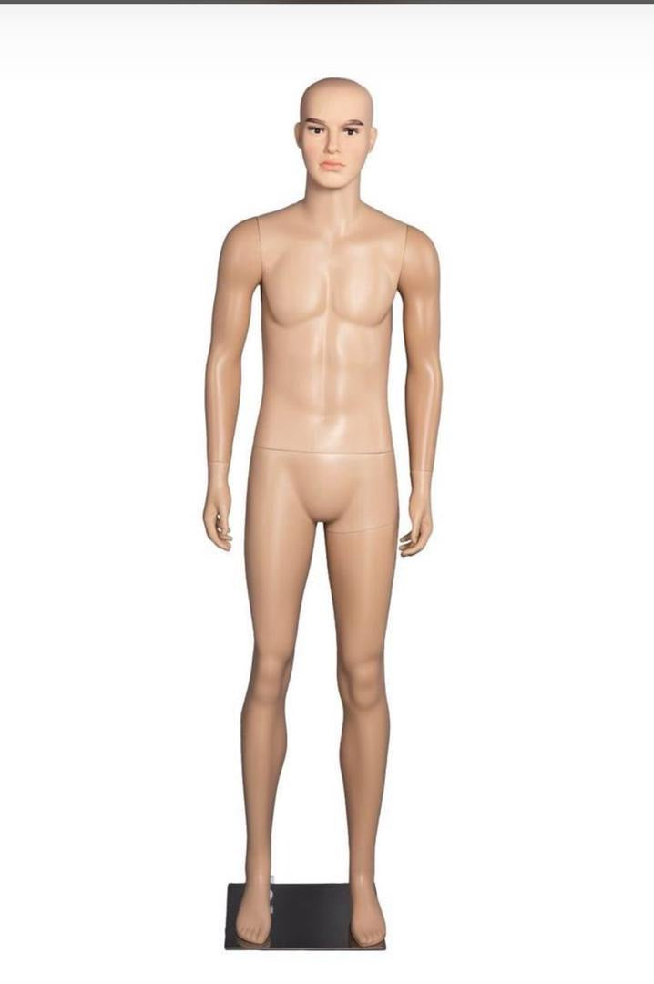 C'est une excellente idée ! L'étude de l'anatomie artistique à travers un mannequin est une étape fondamentale pour apprendre à dessiner le corps humain.